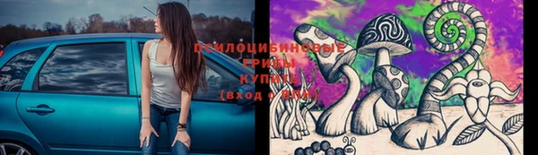 a pvp Аркадак