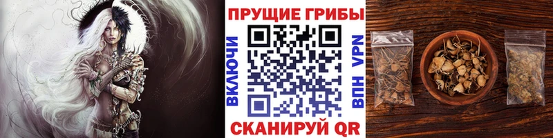 гидра ТОР  Слюдянка  Галлюциногенные грибы Psilocybe 